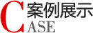 主营业务 主营业务